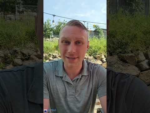 Mortgage Interest Rate Update - September, 2024