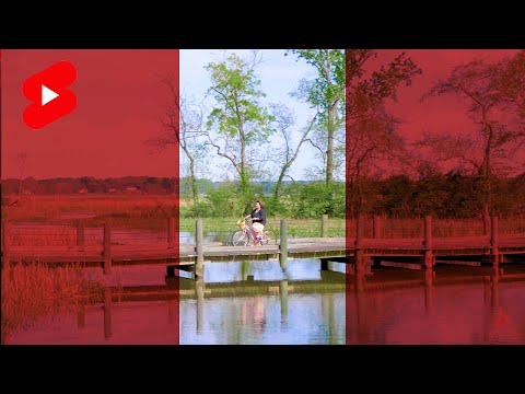 Incredible Bike Trail - Mount Vernon Trail in Alexandria | #Shorts