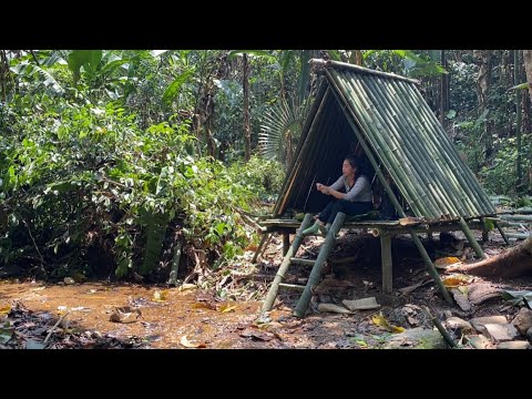 Survival solo in the forest, build a shelter with bamboo, solo bushcraft