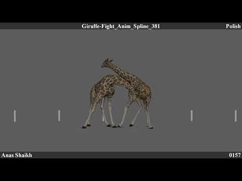 Giraffe Fight - Animal Fight Workshop
