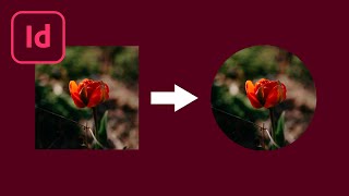 How to Turn an Image Into a Circle in Adobe InDesign