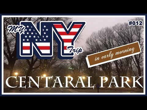 【NY#012】 早朝のセントラルパーク　Central Park in early mornig.