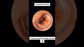 #babyusg #ultrasound #babyultrasound #pregnancyscan #pregnant #babyscan