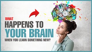 What Happens to Your Brain When You Learn Something New?
