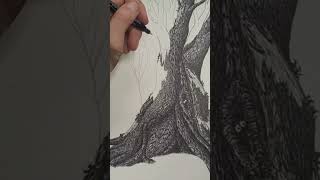 Drawing an old tree with a Sharpie Pen on Watercolor Paper
