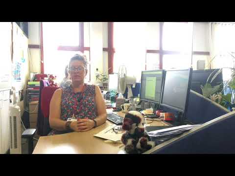 Deborah on her role as Lead Electoral Services Officer at South Holland District Council
