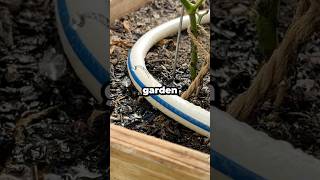 How Do You Build a Simple DIY Garden Irrigation System? #shorts