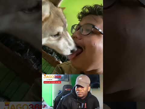 😂😂😂 #trendingno1video