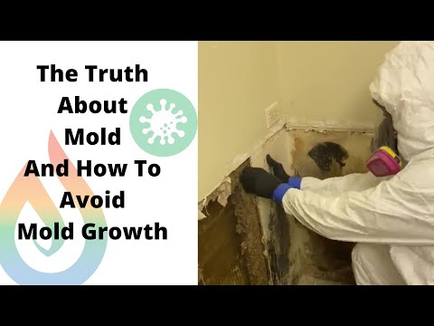 Top Tips to Prevent Mold Growth in Your Home