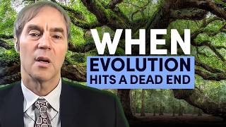 The Cambrian Explosion: A Challenge to Darwin’s Theory