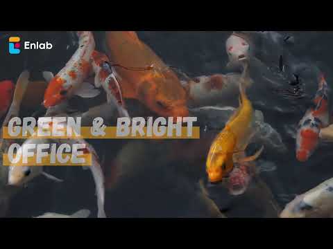 How Enlab makes employees happy at work?