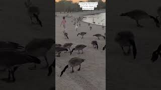 Enjoying the beautifuldays #lancastercalifornia #antelopevalley #makelifebeautiful #lancasterca