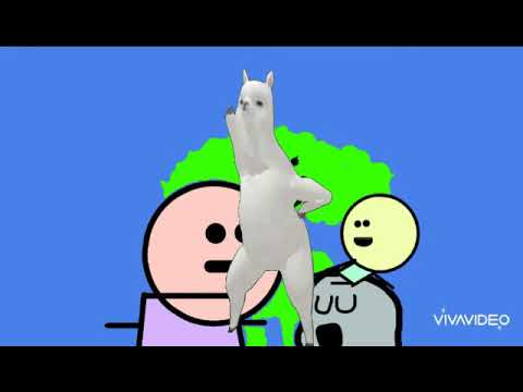 Llama bailando el baile de la distracción