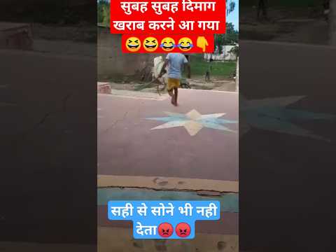 सुबह सुबह हंसी क धमाका देखिए और दिमाग खराब ! #shorts #comedy