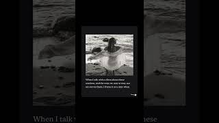 Pause to read! How did you feel about this song? #habitsthatchangeyourlife #jazz #jazztherapy