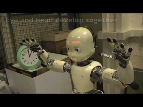 Time-lapse iCub development