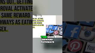 The Addictive Power of Social Media: How Likes and Approval Drive Our Dopamine Levels #Shorts #Media