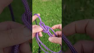 A Spanish Bowline to make a quick improvised dog harness.