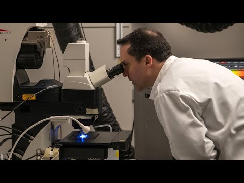 Welcome to the Djavad Mowafaghian Centre for Brain Health