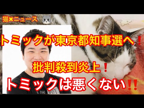 人気YouTuber「トミック」が都知事選への出馬宣言に批判殺到炎上❗️ トミックは悪くない　(トミック　TOMIKKUNET　東京都知事　政治家　アンチ　誹謗中傷　炎上　猫✖︎ニュース) #308