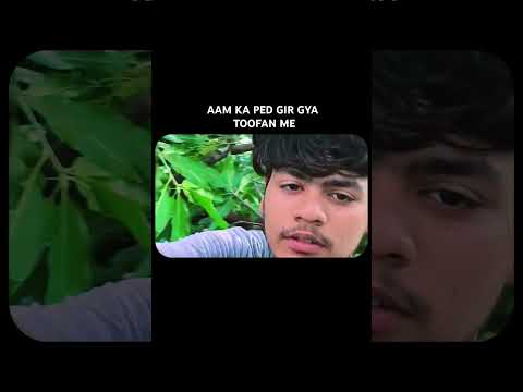 Tez Toofan Mein Gir Gaya Aam Ka Ped! | Funny Cinematic Edit Part 3 #dailyvloging