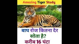 Amazing Tiger Study in Hindi language knowledge video #studyknowledge