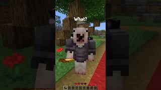 Best Types of Players on a Minecraft Server