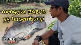 mancing jaring di #ciliwung #jaringikan #pancingmania #tanjungbarat #jakartaselatan