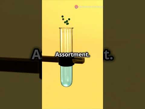 Kickstart Your Week with Science! Why You Look Like Your Parents! 🧬 #Genetics #WorldComIntellectuals