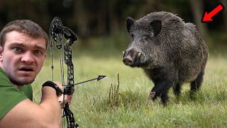 I Hunted Wild Hogs with Bow and Arrow!