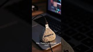 "The Most Useless Things That Actually Exist 😂"