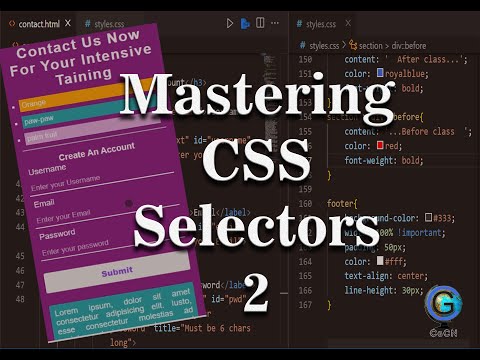 Mastering CSS for Beginner in Web Development