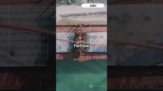 Why Ships Don't Sink Despite Their Weight!