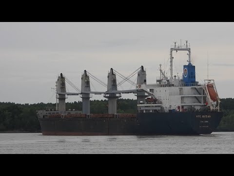 A Closer Look at a Container Ship with Four Cranes