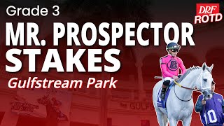 DRF Saturday ROTD | G3 Mr  Prospector Stakes @ Gulfstream | December 27, 2025