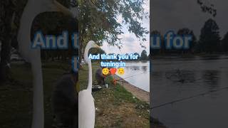 #countrymusic #cowboys #newmusic #music #automobile #longhaultunes #roadwarriorbeats #highwaysongs