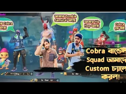 cobra bundle