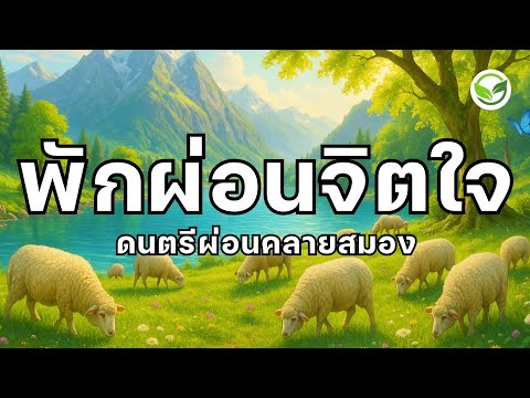 พักผ่อนจิตใจซะก่อน ให้ใจได้ฟื้นฟู ดนตรีผ่อนคลายสมอง ดนตรีบำบัดความเครียด relaxing music & calm music