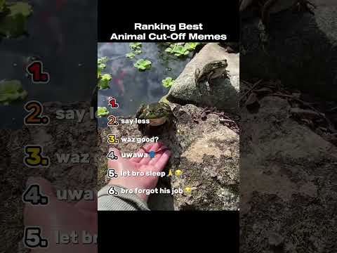 Ranking The Best Cut-Off Memes (Animal Editions)