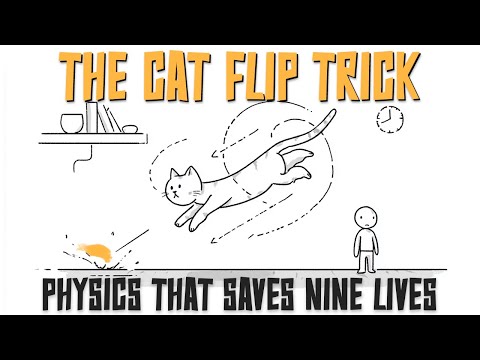 Why Cats Always Land on Their Feet (Physics Explained)