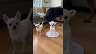 I think he didn't like the joke.