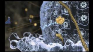 How is the cell programmed with genetic information?