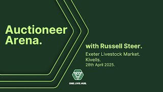 Auctioneer Arena: Russell Steer, Exeter Livestock Market, Kivells, April 2025