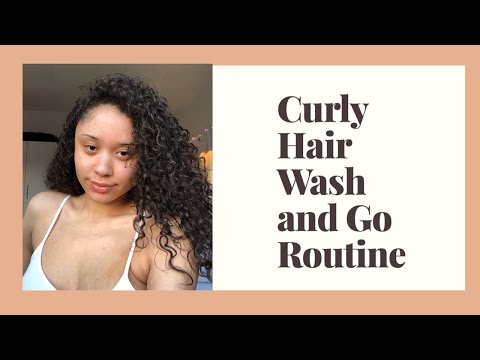 CURLY HAIR WASH AND GO ROUTINE | ALEXANDRIA GRACE