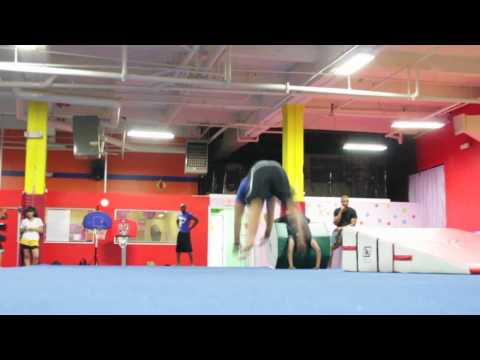 Andy 2010 Gym Preview