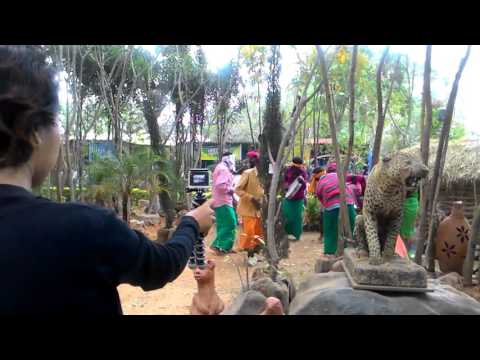 Wild function in Lalbag