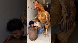 Cat tum jaldi Bhago 🫢#funny #shorts #cat #dog #trending ￼