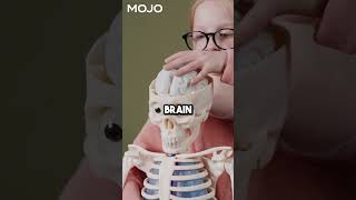 3 Foods That Help Improve Focus and Memory #focusboost #memoryboost #shorts