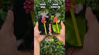 Vivo V60 Vs Vivo X200 Fe Camera Test- 10x Zooming