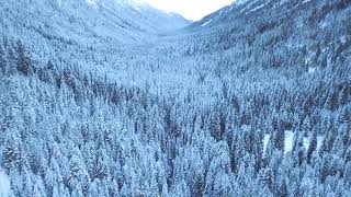 beautiful relaxing music, peaceful music, healing music #music #relaxingmusic #relaxingsoul #music
